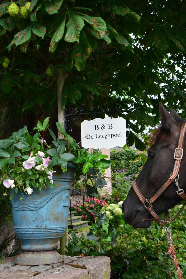 B&B De Leeghpoel Rumpt Екстериор снимка